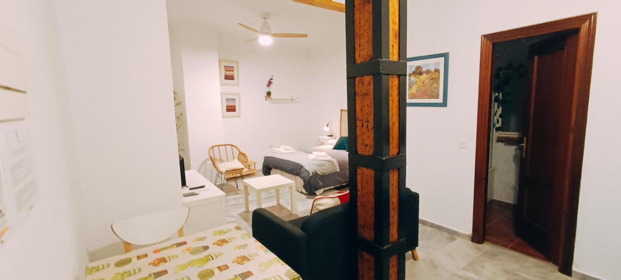 Apartment Estudios Santos *
